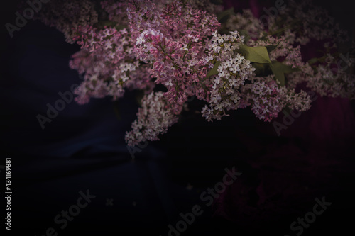 Floral still life with beautiful branches of lilac