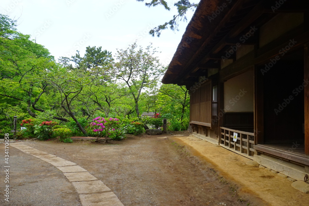 Traditional Japanese thatched roof house, rural scene in Japan - 合掌造り 茅葺屋根の家 日本の田舎風景	
