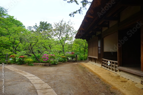 Traditional Japanese thatched roof house, rural scene in Japan - 合掌造り 茅葺屋根の家 日本の田舎風景 