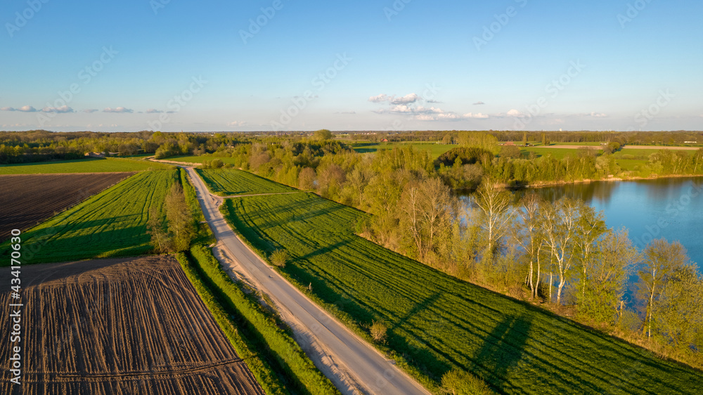 Aerial view with a drone of a spring wavy agricultural countryside landscape with plowed and unplowed fields and trees in the blue evening sky. High quality photo