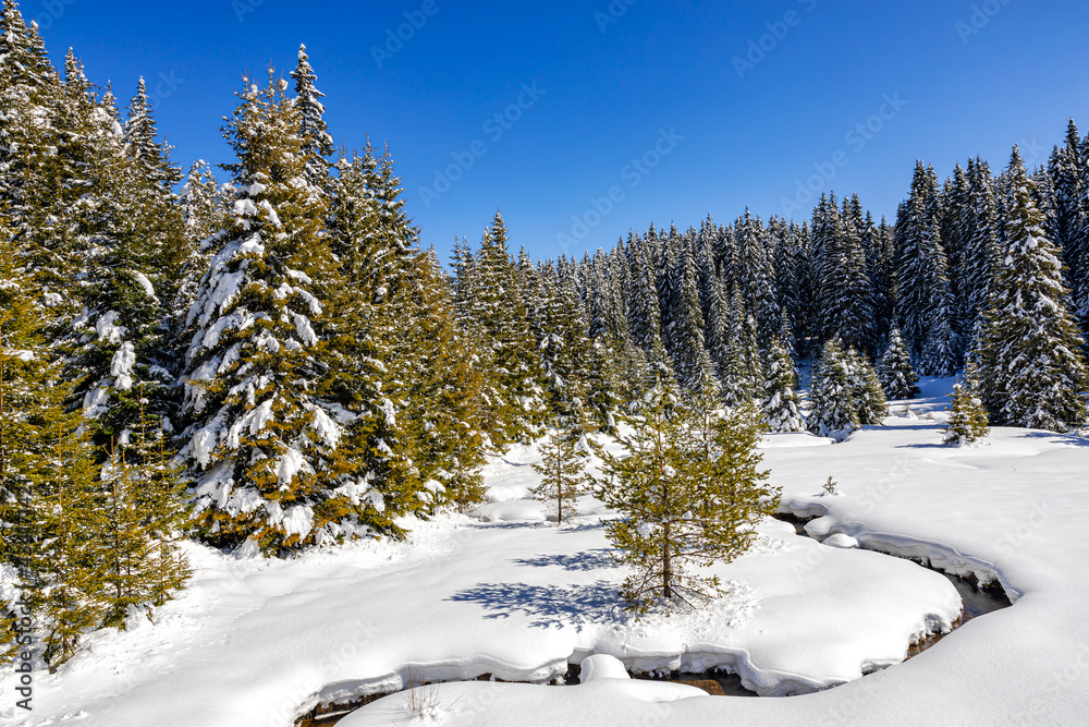 A meandering stream in a delightful winter scene in West Rhodope mountains, Bulgaria A meandering stream in a delightful winter scene in West Rhodope mountains, Bulgaria