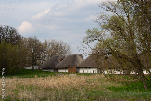 houses in the village with gray thatched roofs