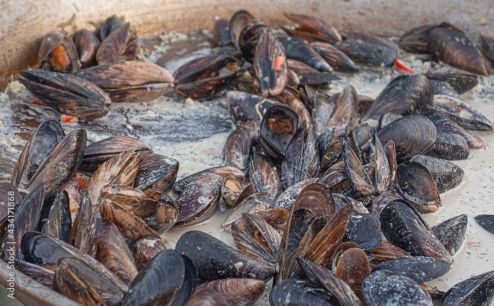 Mussels cooking in a creamy sauce in frying pan Mussels cooking in a creamy sauce in frying pan