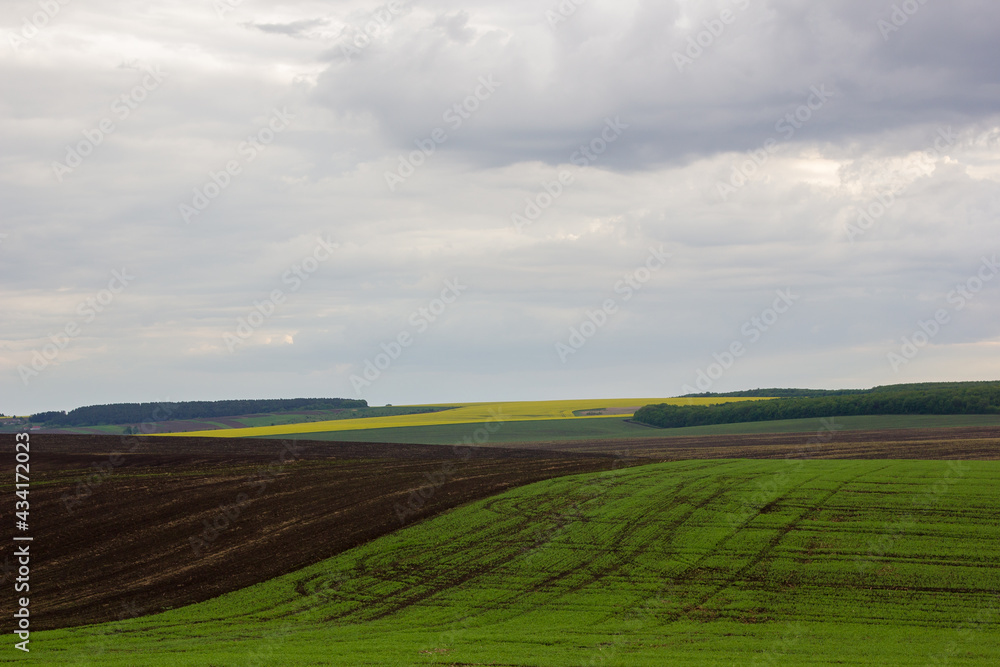 fields in spring