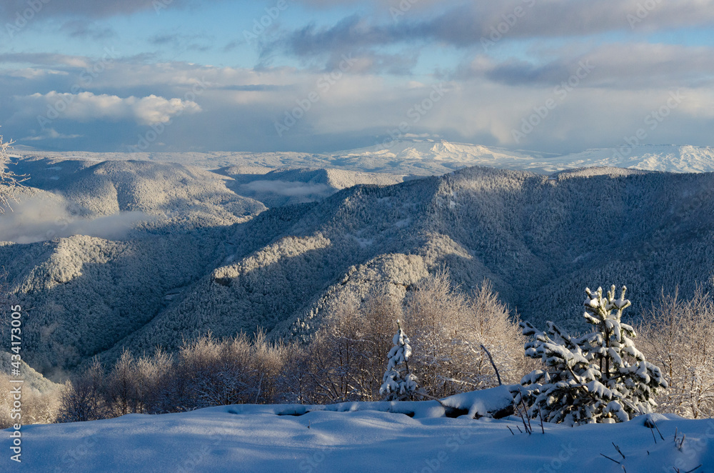 Fototapeta premium winter mountain landscape