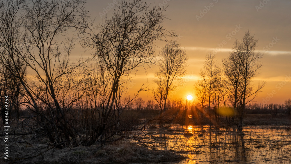 Flooded trees during a period of high water at sunset. Trees in water at dusk. Landscape with spring flooding of Pripyat River near Turov, Belarus. Nature and travel concept. Flooded trees during a period of high water at sunset. Trees in water at dusk. Landscape with spring flooding of Pripyat River near Turov, Belarus. Nature and travel concept.