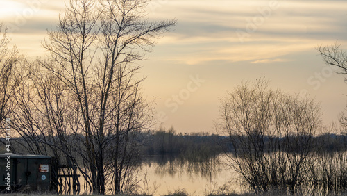 Flooded trees during a period of high water. Trees in water. Landscape with spring flooding of Pripyat River near Turov, Belarus. photo