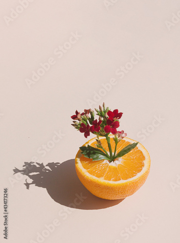 Flower growing out ouf cut fresh orange or tangerine. Minimal spring and summer concept.. photo