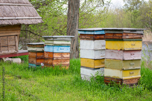multicolored beehives, boxes-houses for bees in the forest near the river