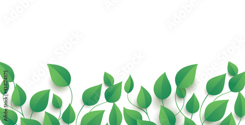 Vector floral banner design with green leaves and copy space.