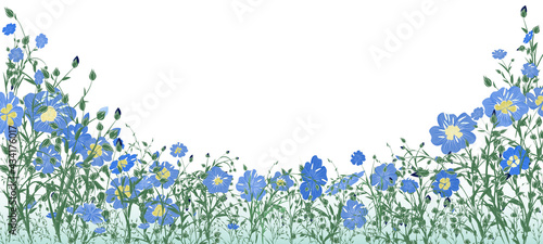 Meadow and flower panorama of flax flowers and buds in the form of a semicircle for the design of banners, postcards, greetings or textile labels with space for text. Vector illustration.