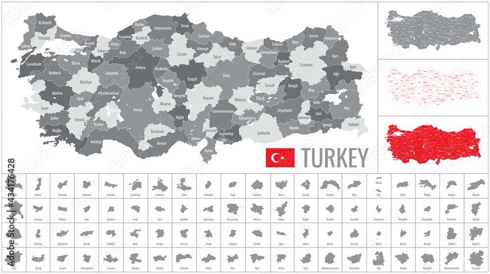 Fototapeta premium Detailed vector map of regions of Turkey with flag