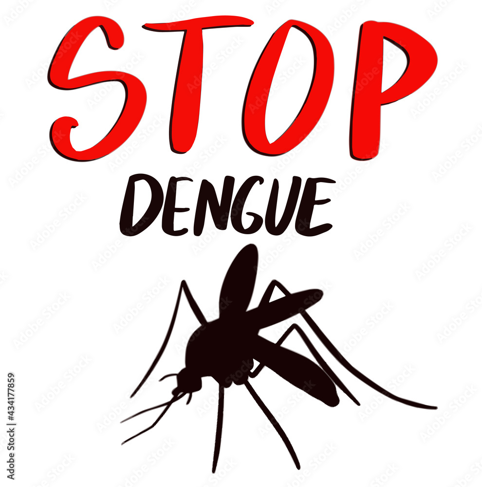 Stop dengue, drinking blood, animal, background, biology, blood