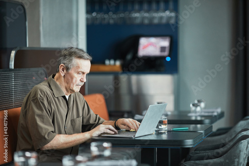 Concentrated senior Caucasian man with mustache sitting at table and working with laptop in cafe