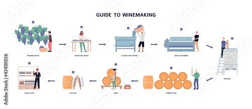 Guide to winemaking process - from ripening grapes to natural wine.