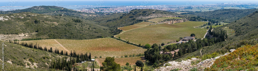 panorama sur des vignes au bord du littoral  méditerranée