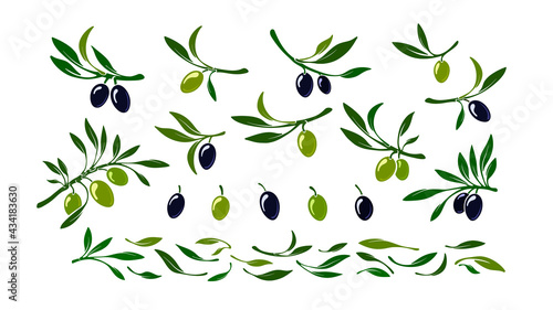 Set of olives. Vector black and green macro fruit