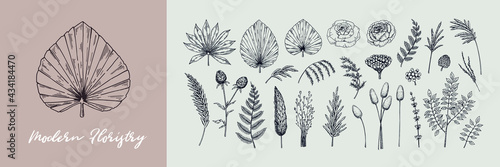 Hand drawn set of modern plants for floristry  Vector illustration in sketch style