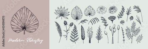 Hand drawn set of modern plants for floristry, Vector illustration in sketch style