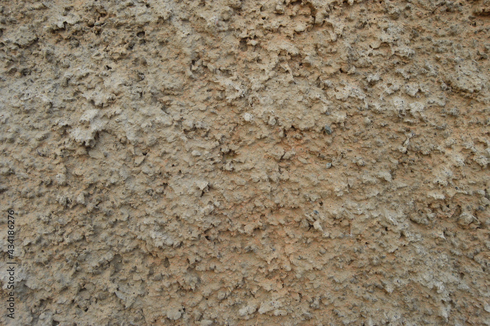 Texturas de la naturaleza Texturas de la naturaleza