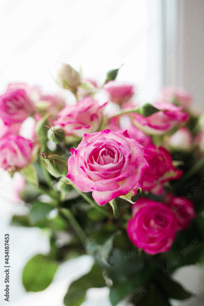 Obraz premium pink roses bouquet