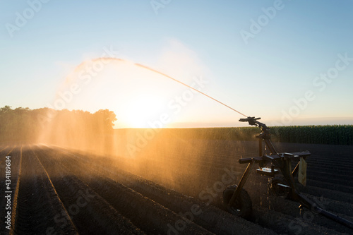 A large agricultural sprinkler watering vegetable field as the Sun sets on the horizon