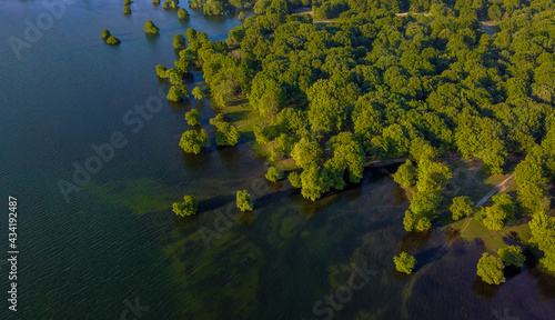 Aerial photo of a plane tree forest of Aliakmonas lake near Kozani  Greece