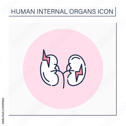 Kidney color icon.Pain in kidney due inflammatory processes. Renal disease. Medical treatment. Human internal organs concept.Isolated vector illustration