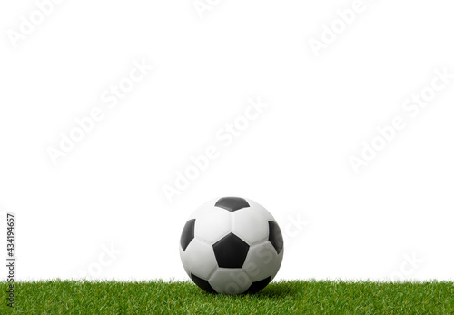 Soccer ballon green grass.  Professional sport concept. Horizontal sport poster, greeting cards, headers, website © Augustas Cetkauskas