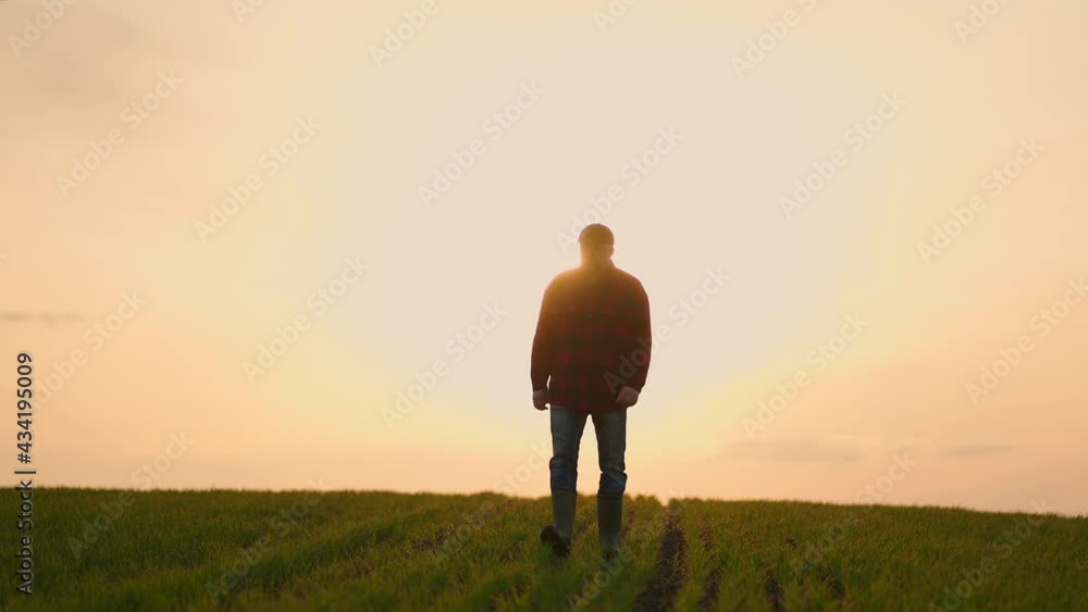 Elderly male tractor farmer at sunset walks across the field in slow motion after day's work Elderly male tractor farmer at sunset walks across the field in slow motion after day's work
