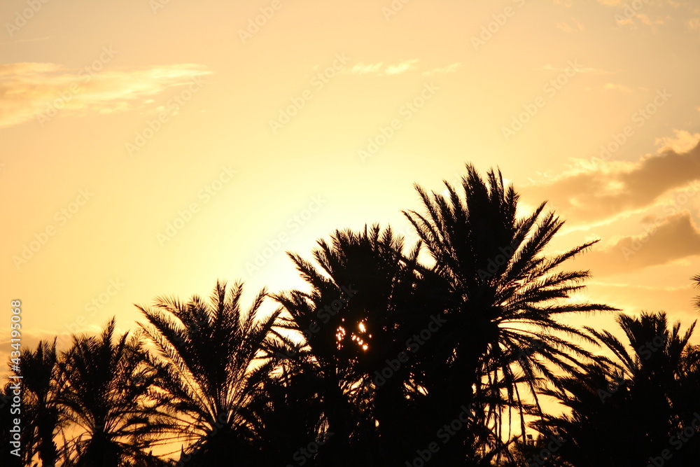 Sunset on the beach in Djerba