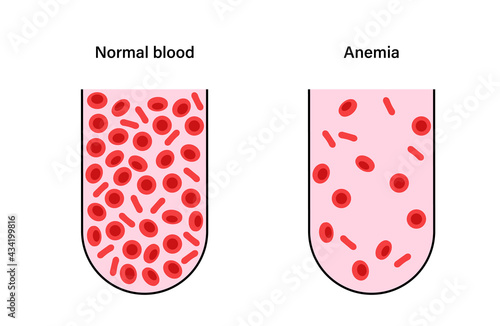 Blood structure concept