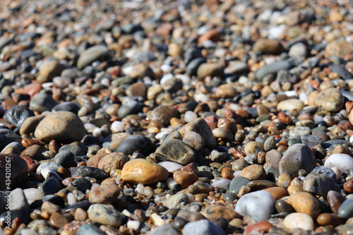 Closeup of variety of colorful red, orange, white, brown, and gray wet rocks on the beach