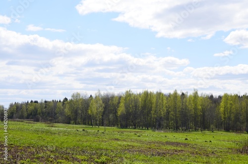 landscape with trees