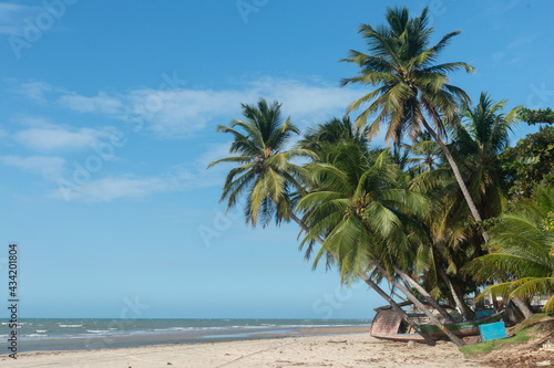 Praia da Baleia no Ceará com jangadas e coqueiros, Nordeste, Brasil.