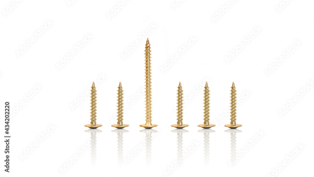 one large and four small gold screws stand in a row on a white background one large and four small gold screws stand in a row on a white background