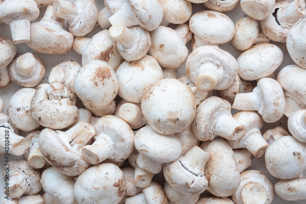 Fresh Champignon mushrooms on farmer market, close-up view