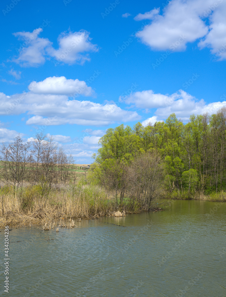 The spring river and the forest are behind us. Blue sky and clouds. Grass on the banks The spring river and the forest are behind us. Blue sky and clouds. Grass on the banks