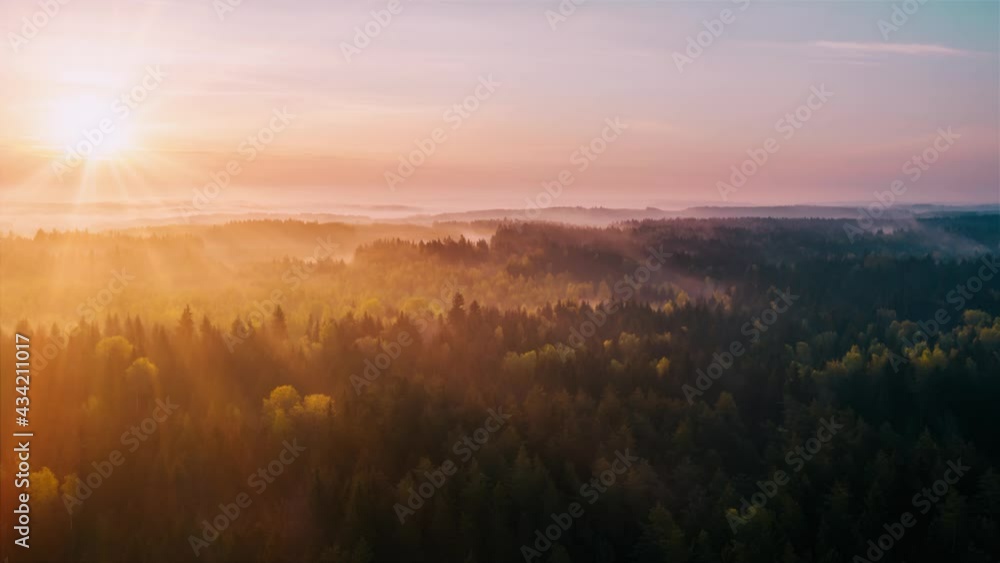 Aerial time-lapse hyperlapse misty morning in forest. Bright warm sun rises over foggy woodland. Clouds of fog moving above trees. Misty dawn, drone timelapse. Idyllic landscape sunrise. Sun beams Aerial time-lapse hyperlapse misty morning in forest. Bright warm sun rises over foggy woodland. Clouds of fog moving above trees. Misty dawn, drone timelapse. Idyllic landscape sunrise. Sun beams