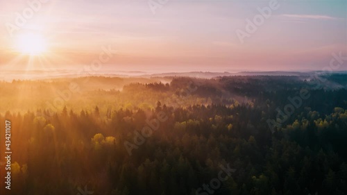 Aerial time-lapse hyperlapse misty morning in forest. Bright warm sun rises over foggy woodland. Clouds of fog moving above trees. Misty dawn, drone timelapse. Idyllic landscape sunrise. Sun beams