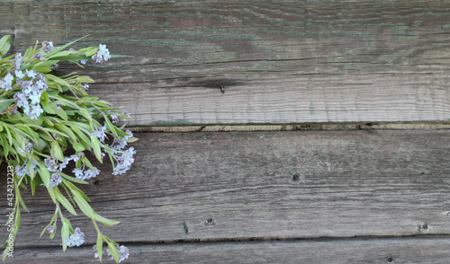 Forget-me-not flowers on a wooden background. Blue flowers on an old wooden board. Place to write.
