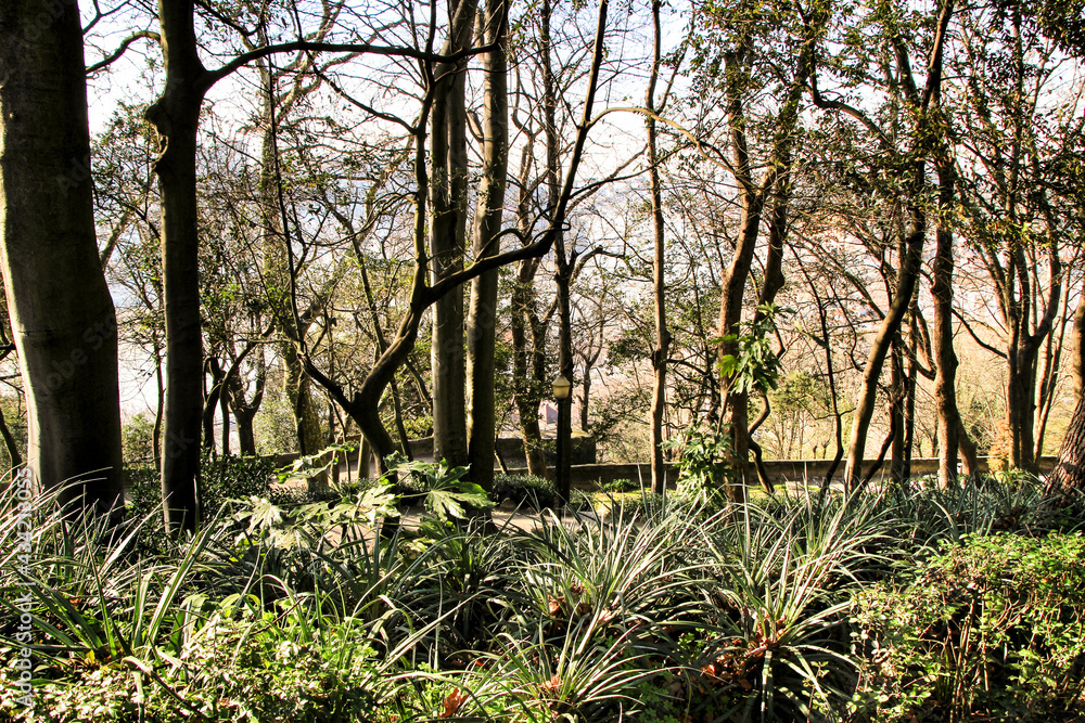 Fototapeta premium Idyllic Crystal Palace Gardens in Oporto