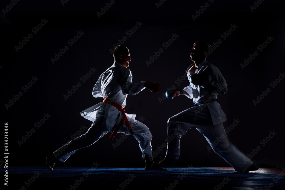 Young man is practicing martial arts in sport gym Young man is practicing martial arts in sport gym