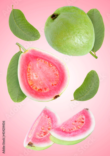 Pink guava fruit with leaf isolated on Pink background With clipping path.