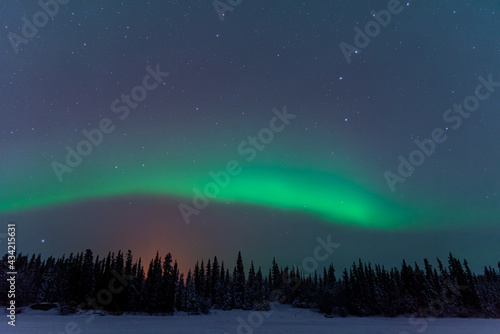 A display of northern lights seen over a frozen lake and boreal forest in northern Canada during winter time with light green band, silhouette of spruce tree woods. 