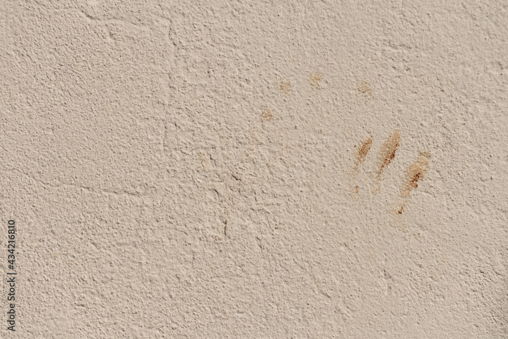 Sand-colored painted cement wall with a dog's paw stain Sand-colored painted cement wall with a dog's paw stain