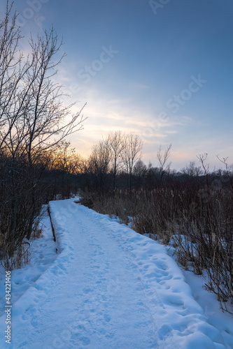 winter landscape with a zig zagging boardwalk into the sunset