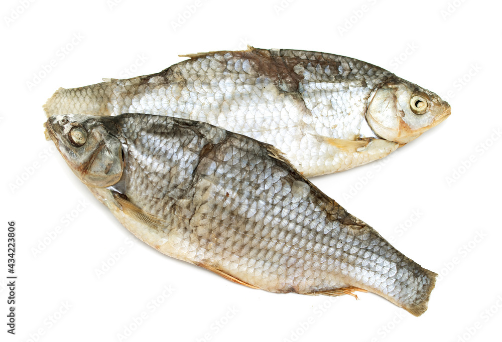 vobla dried salted fish on a white background vobla dried salted fish on a white background