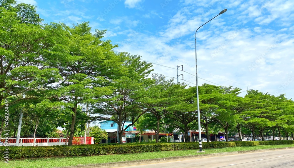 Obraz premium street in the city