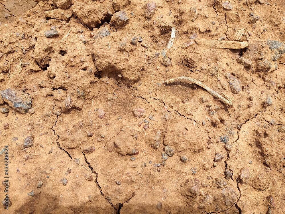 soil in the ground soil in the ground